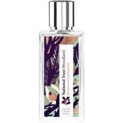 Woodland - Beechwood and Bramble